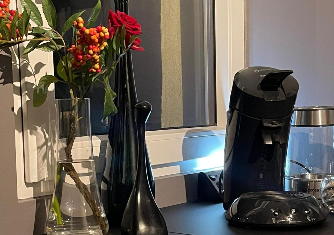 Stay At Smilla - Boutique Apartments Mit Kueche - Parken - Klima - Netflix - Waschmaschine Wiesbaden Eksteriør bilde
